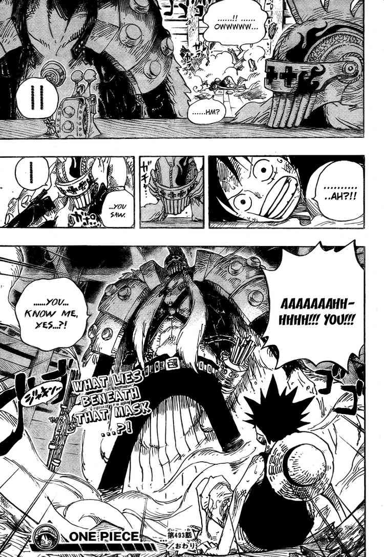 One Piece Chapter 493 19